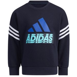 Adidas Graphic Crewneck Sweatshirt - H40249 syrrakos-sport