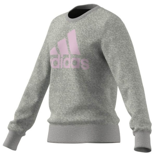 Adidas-Sweatshirt-Essentials-HM6706-syrrakos-sport-2