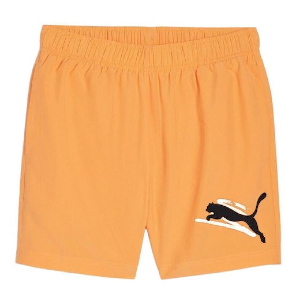 Puma-Ess+-Logo-Lab-Cat-Woven-5-678991-46-syrrakos-sport